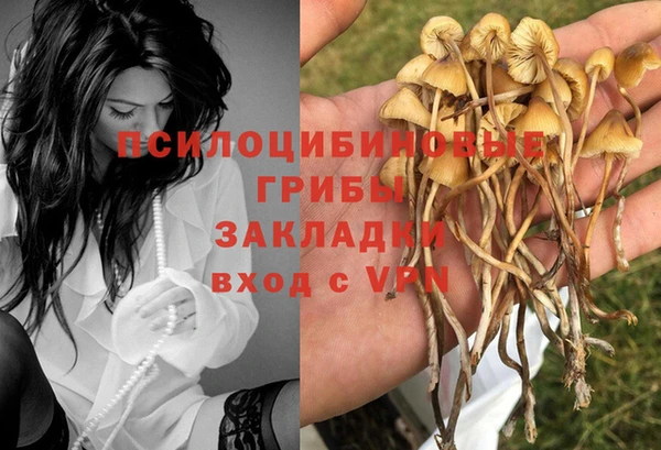 МДПВ Алексин
